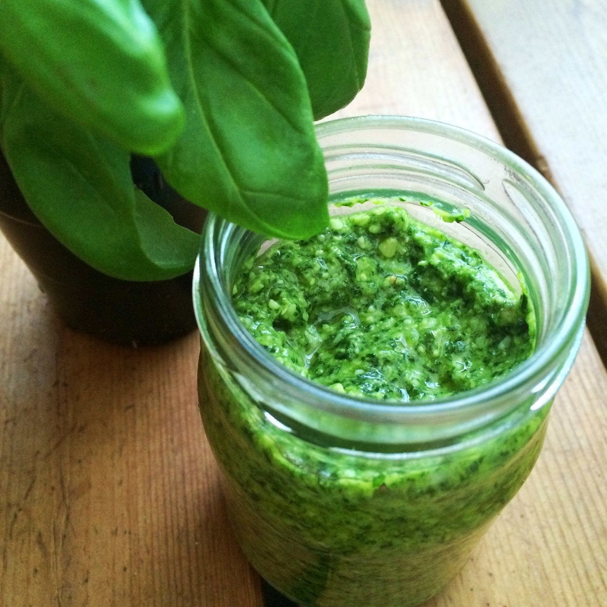 Basilico in vaso e i segreti per un pesto freschissimo
