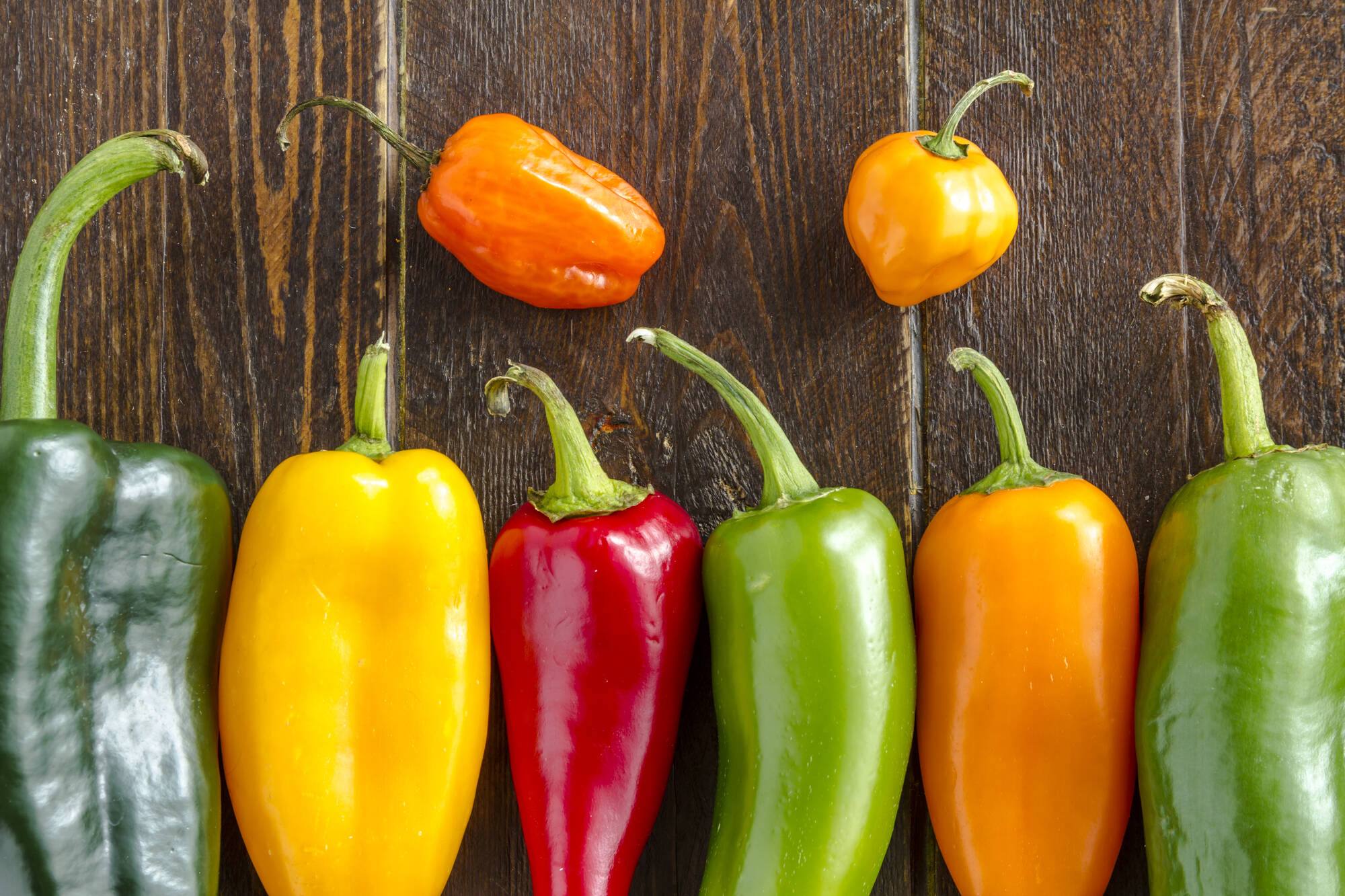 Peperoni, colori e gusto per l'estate
