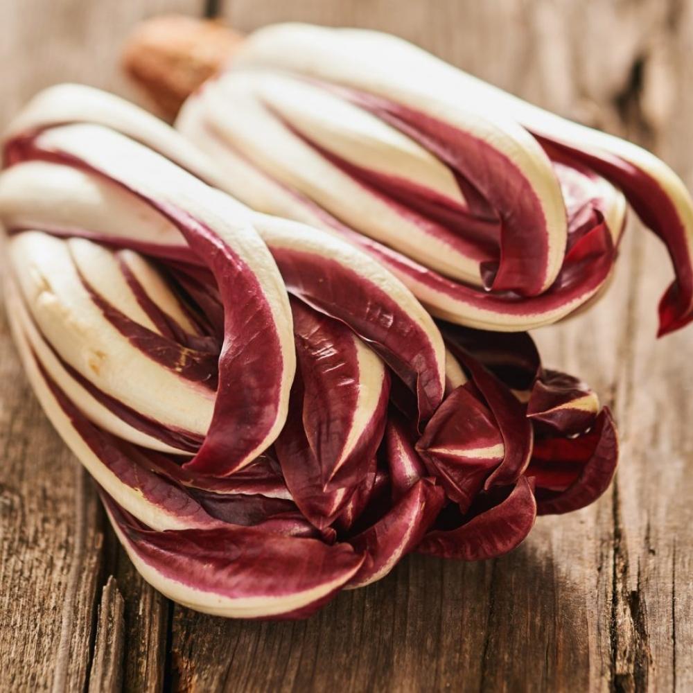 radicchio-treviso